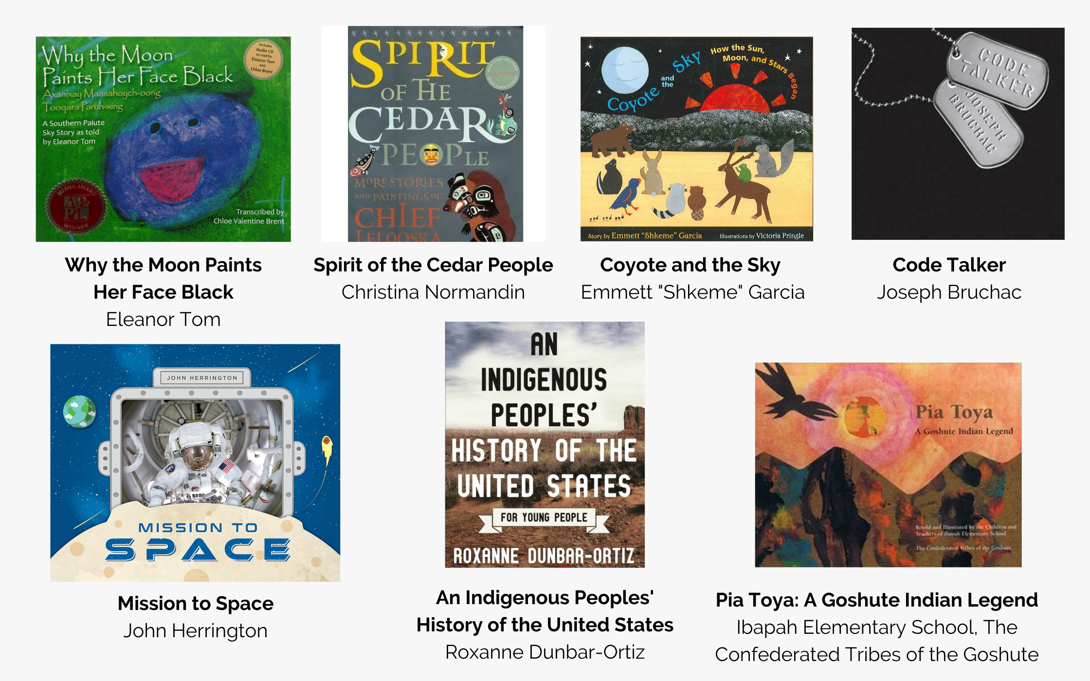 More highly recommended books about Native Americans